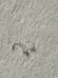 Unidentifiable Object