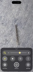 Bagworm