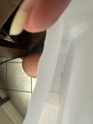 N/A (No insect visible)