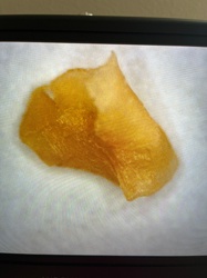 Cannabis Concentrate (Shatter)