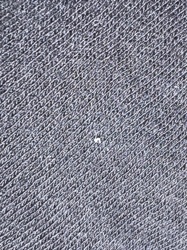 Clothing Moth Larva (possibly Case-bearing or Webbing)