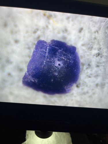 Not identifiable as an insect or bug.