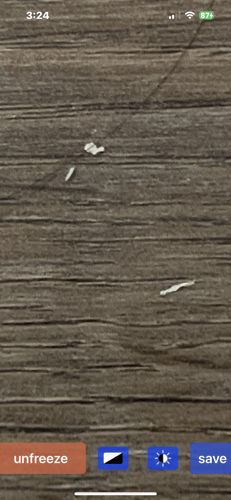 Not identifiable (Lint/Debris)