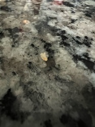 Unidentifiable Particle