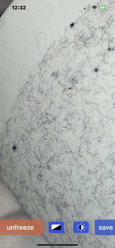 Nematodes (Roundworms)