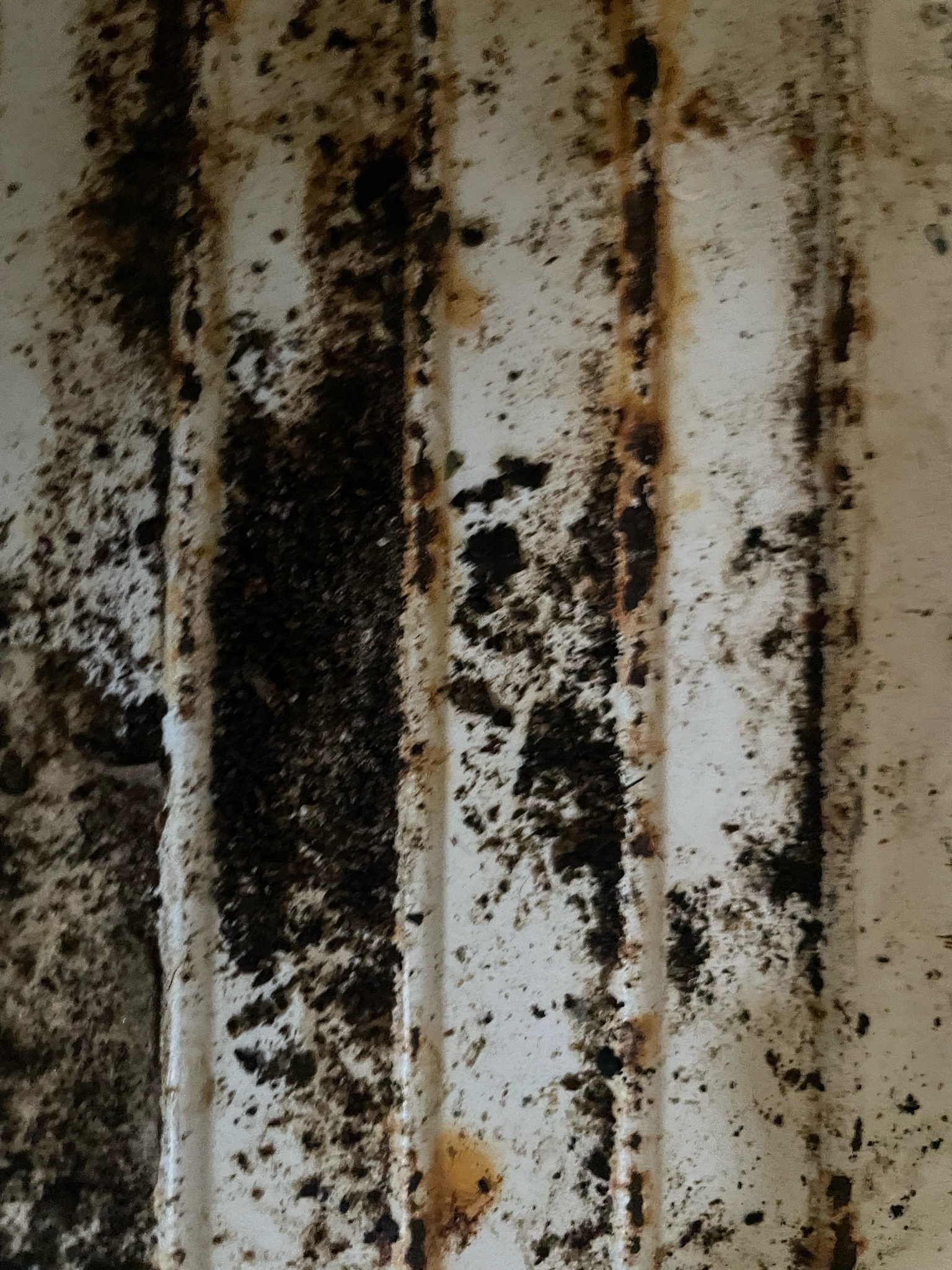 Bed Bug (Infestation Signage)