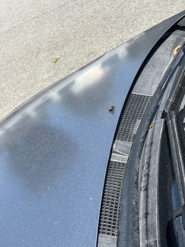 Fly