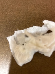 Unknown Insect Remains