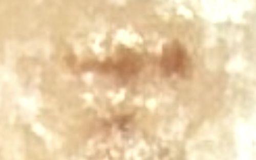 Unidentifiable due to image quality