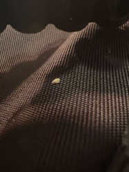 Unidentifiable Particle