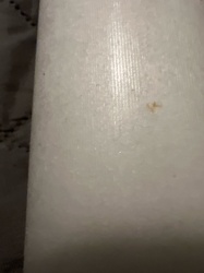 Unidentifiable stain/speck