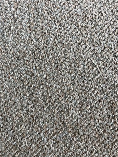 N/A (No insect visible)