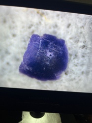 Not identifiable as an insect or bug.