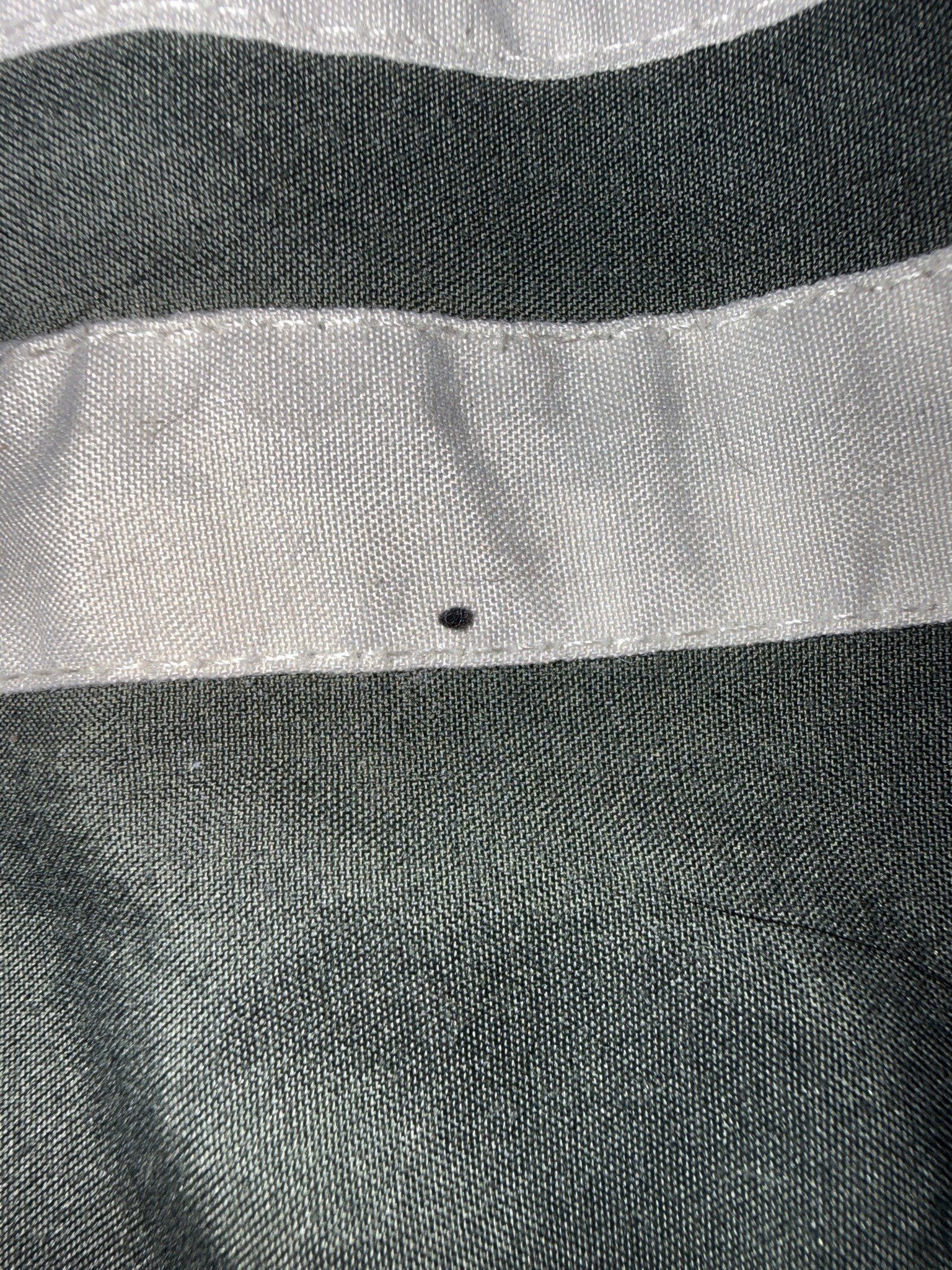 Carpet Beetle (Larva/Pest)
