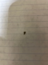 Too blurry to identify