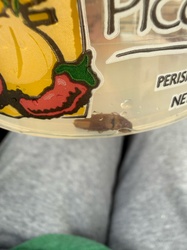 Click Beetle