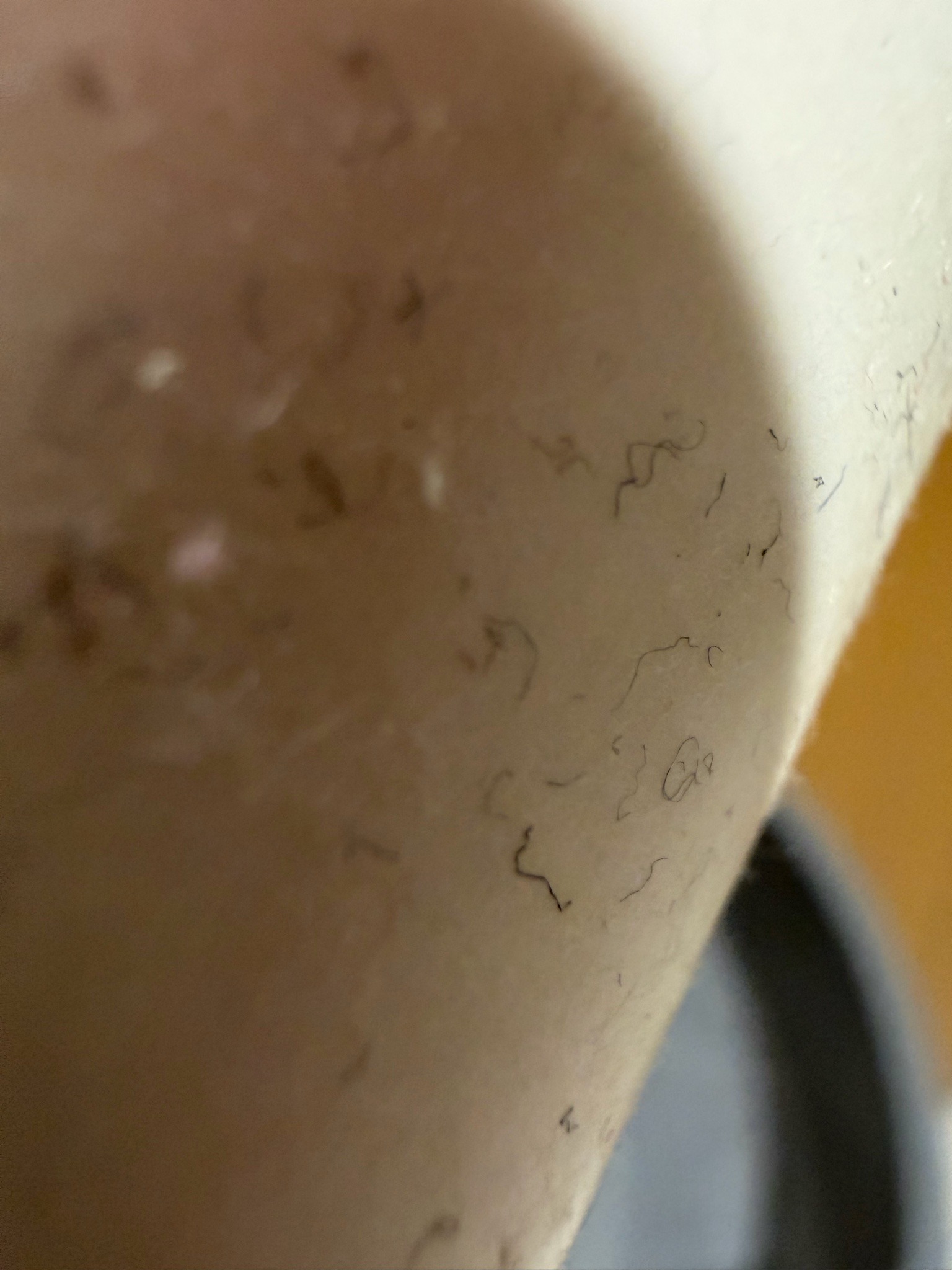 Clothing fuz/Lint (Non-biological)