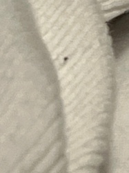 Too blurry to identify