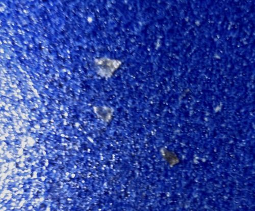 Inanimate Debris (Not a Bug)