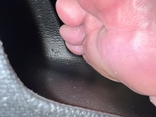 Too blurry to identify