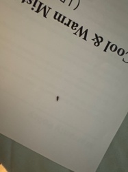 Thrips (also known as Thunderbugs)
