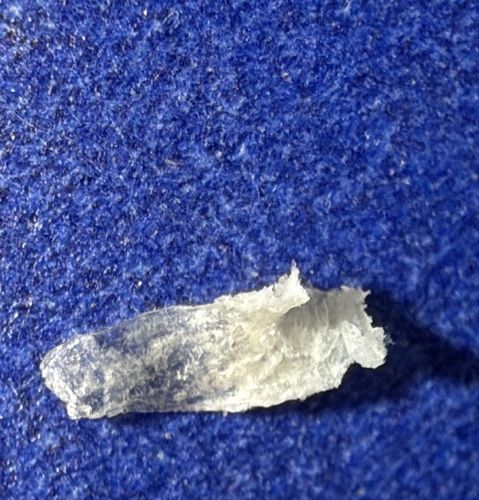 Not a bug (Non-biological material)