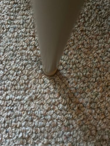 Not identifiable (No bug/insect visible)