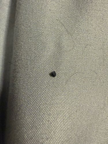 Unidentifiable Particle (likely lint or debris)