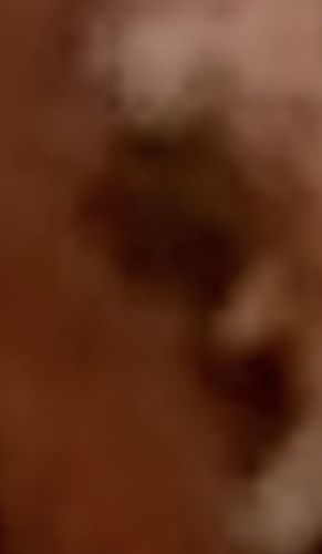 Unidentifiable due to image quality