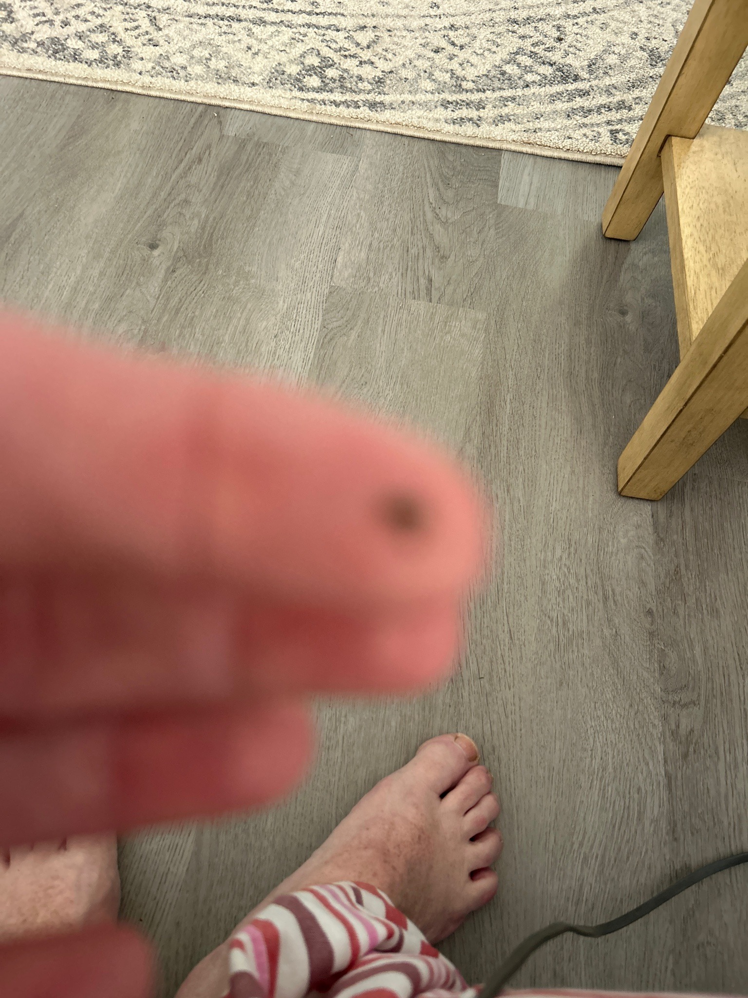 Dog Tick / Wood Tick