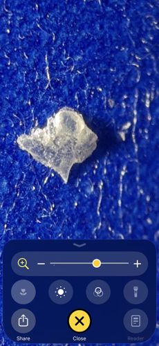 Inconclusive (Likely non-biological debris)