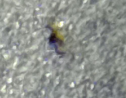 Unknown / Unidentifiable Object