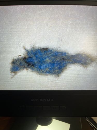 Unidentifiable Object/Lint