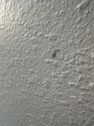 Unknown/Unidentifiable