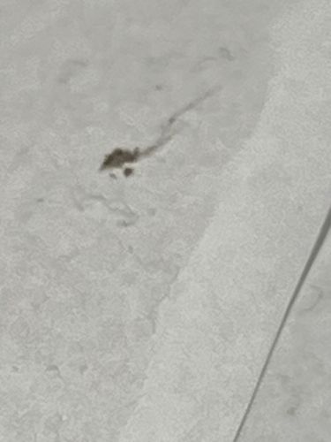 Unidentifiable stain or debris