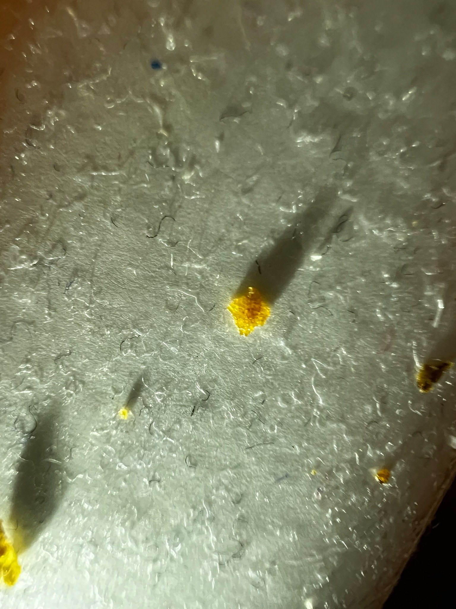 Inconclusive (Non-biological material)