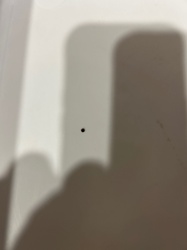 Too blurry to identify. Appears to be a small, dark insect or speck against a light background.