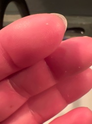 Dust Mite (or similar small particulate)