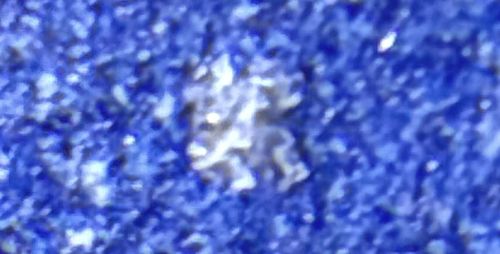 Dust Mite (Likely identification based on context and size, though visual confirmation is difficult)