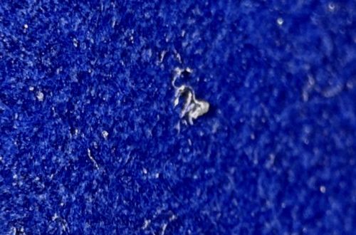Lint, Textile Fiber, or Skin Debris (Likely not an insect)