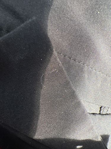 No insect identified