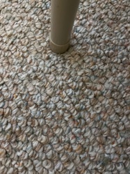 No insect or bug identifiable