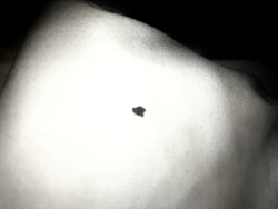 Unidentifiable Object/Artifact