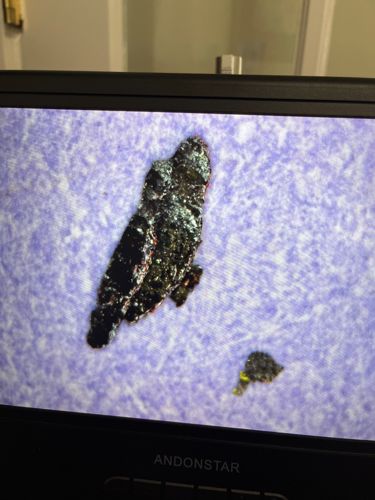 Unidentifiable Debris