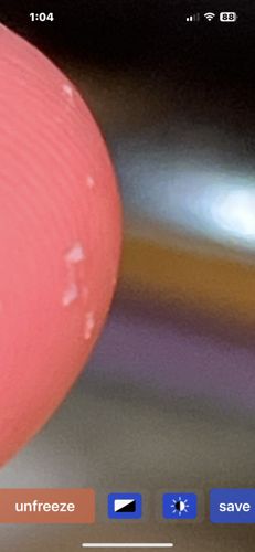 It is not possible to identify an insect or bug from the provided image.