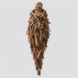 Bagworm Identification Guide