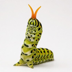 Parsley Worm Identification Guide