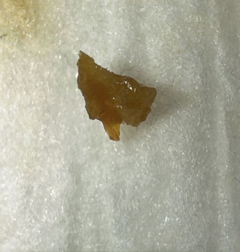Unknown (Non-biological object)