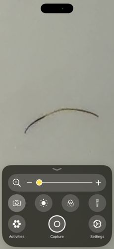 Horsehair worm