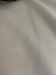 Unable to identify - possibly dust or lint on fabric